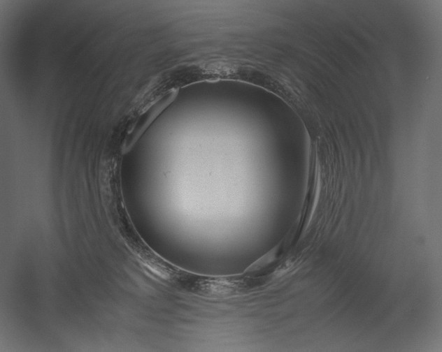 X0000051250229200507011700