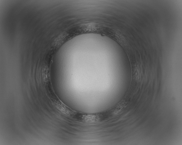 X0000051250230200507011700