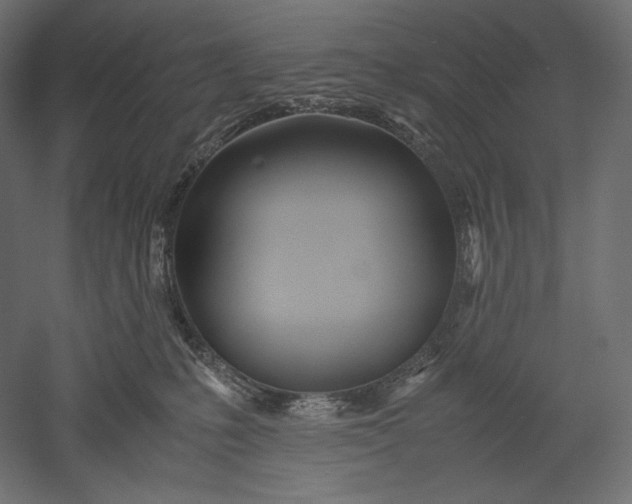 X0000051250231200507011700