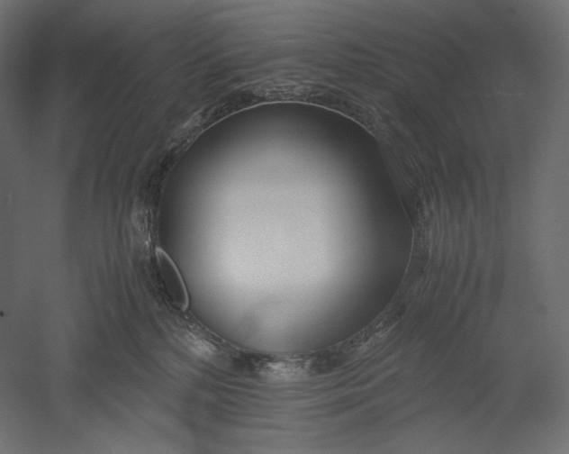 X0000051250232200507011700