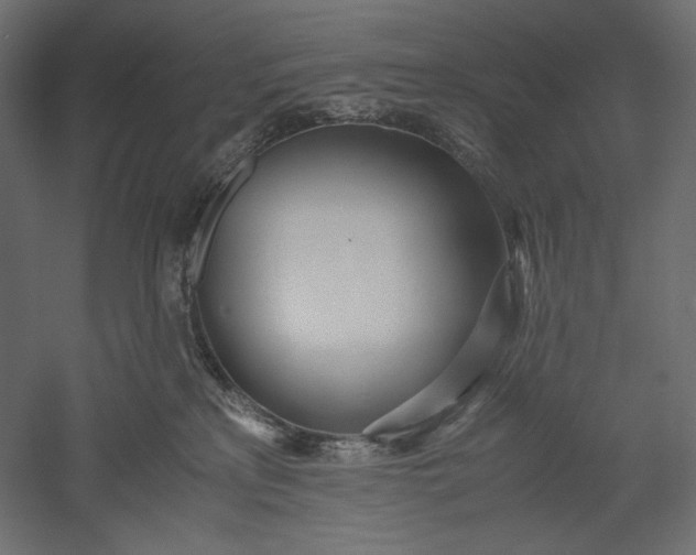 X0000051250233200507011700