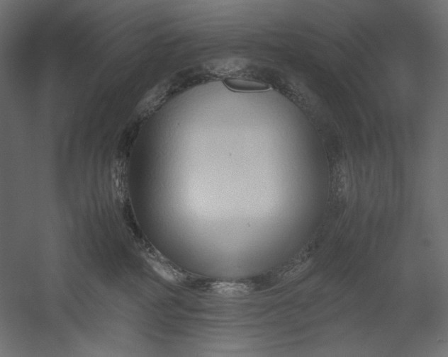 X0000051250234200507011700