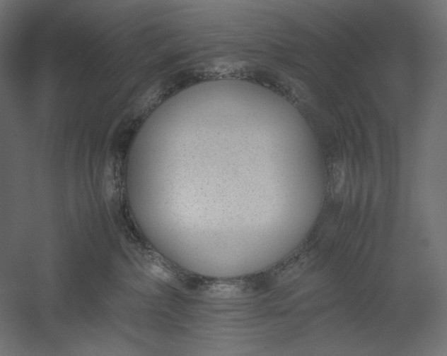 X0000051250236200507011700