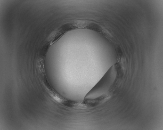 X0000051250237200507011700