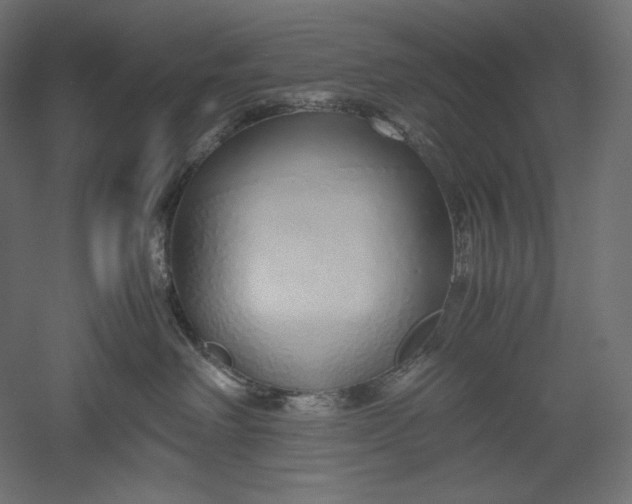 X0000051250238200507011700