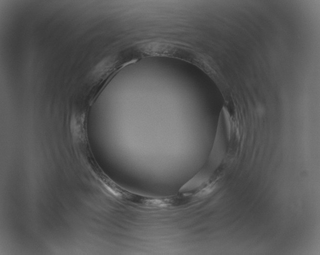 X0000051250239200507011700