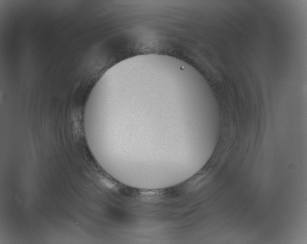 X0000051250240200507011700