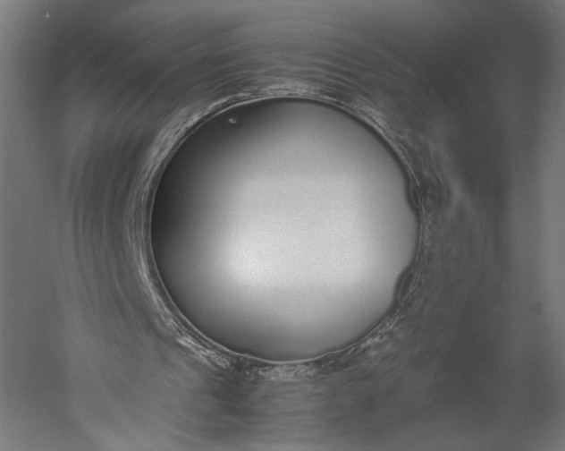 X0000051250241200507011659