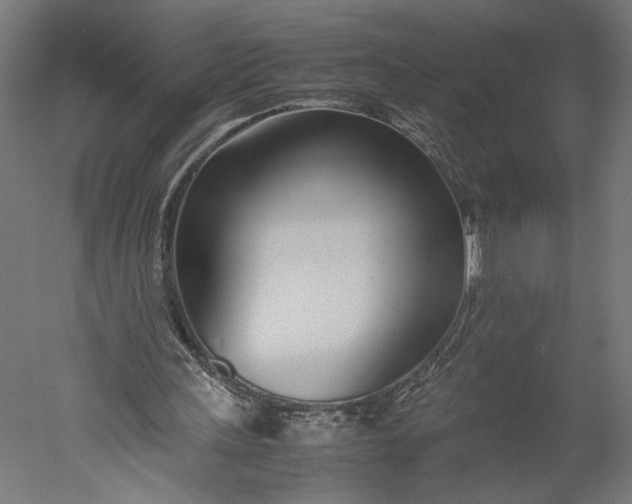 X0000051250243200507011659