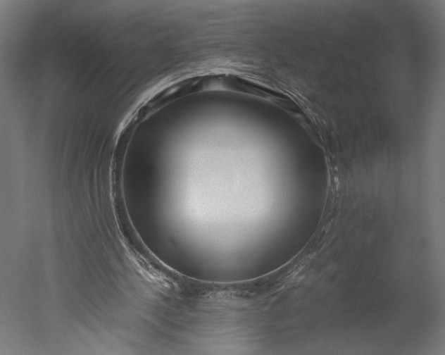 X0000051250244200507011659