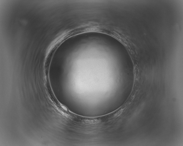 X0000051250245200507011659