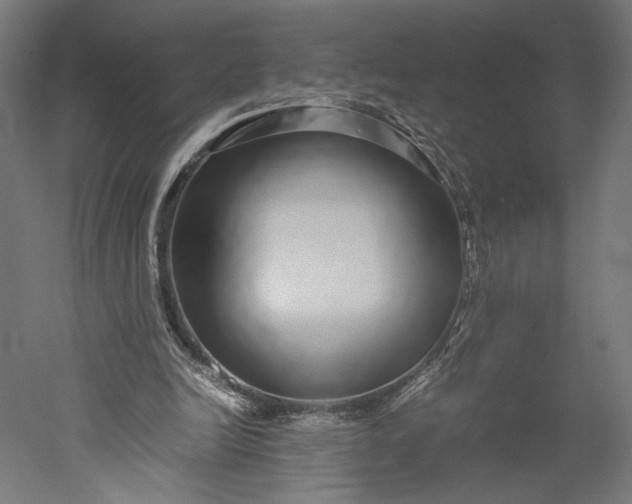 X0000051250246200507011659