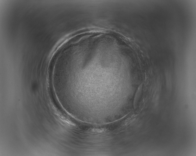 X0000051250247200507011700