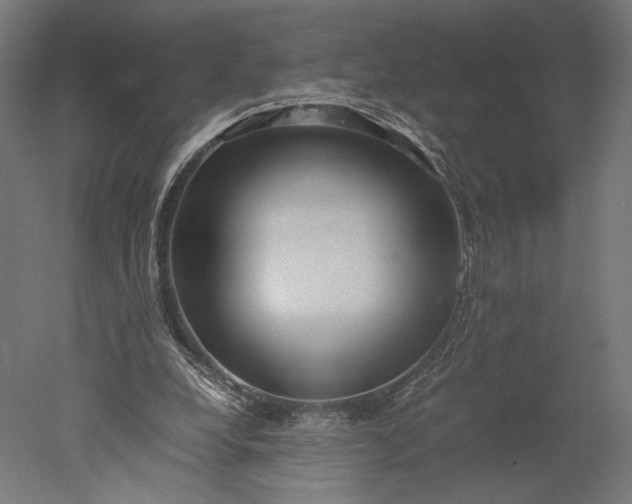 X0000051250248200507011700