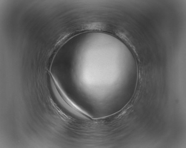 X0000051250249200507011700