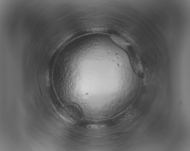 X0000051250251200507011700