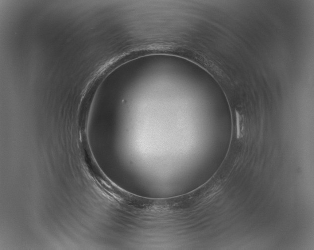 X0000051250252200507011700