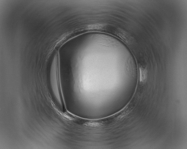 X0000051250253200507011700