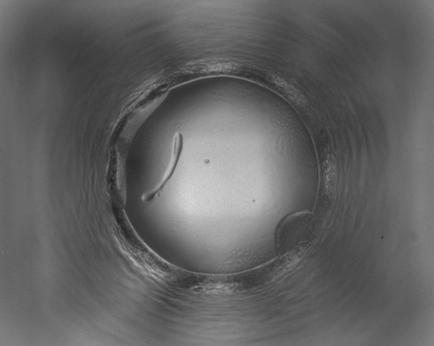 X0000051250254200507011700