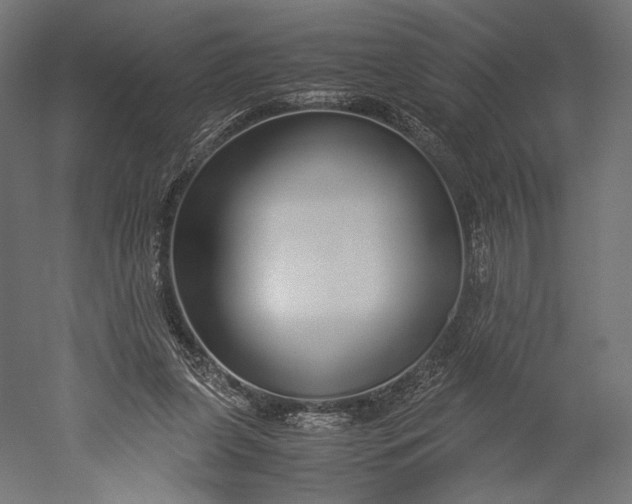 X0000051250255200507011700