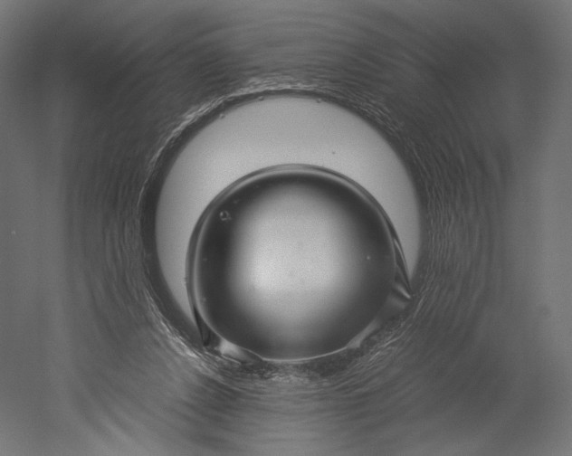 X0000051250256200507011700