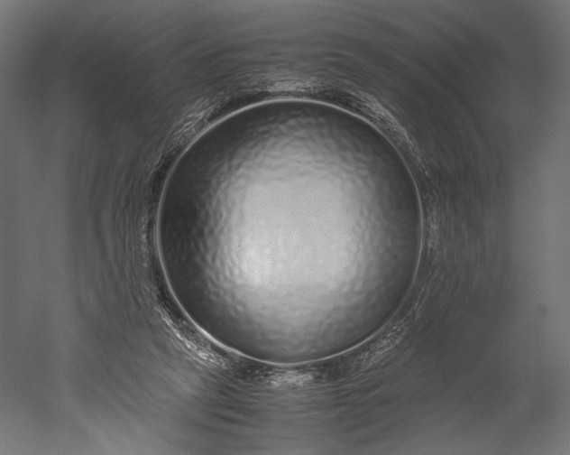 X0000051250257200507011700