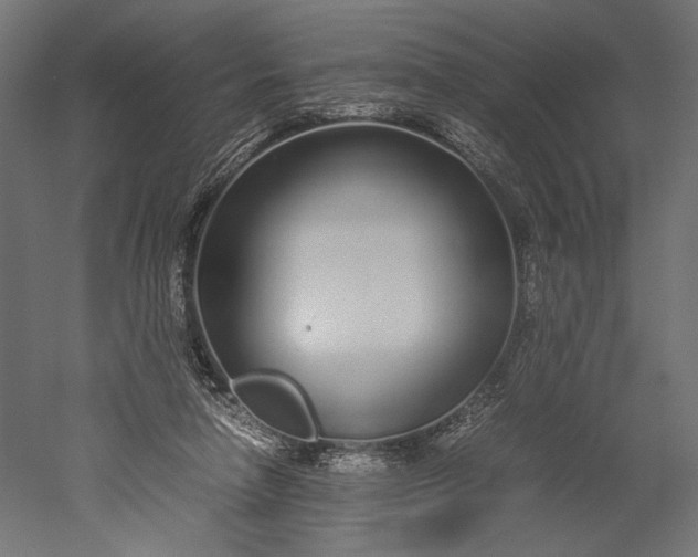 X0000051250258200507011700