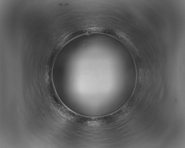 X0000051250259200507011700