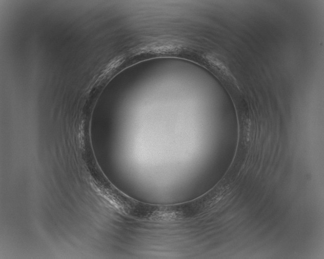 X0000051250260200507011700