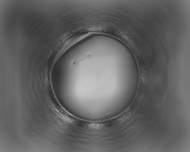 X0000051250261200507011700