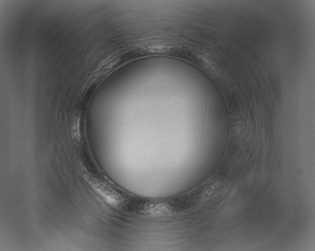 X0000051250262200507011700