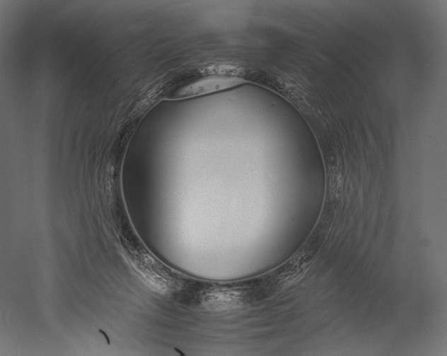 X0000051250263200507011700