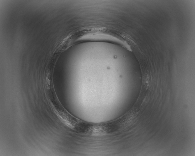 X0000051250264200507011700