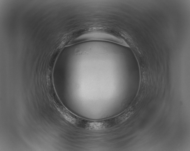 X0000051250265200507011700