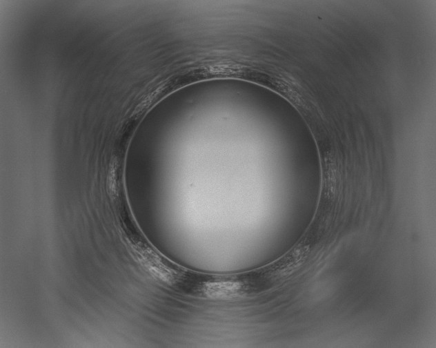 X0000051250266200507011700