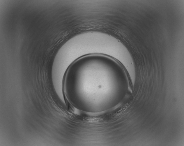 X0000051250268200507011700