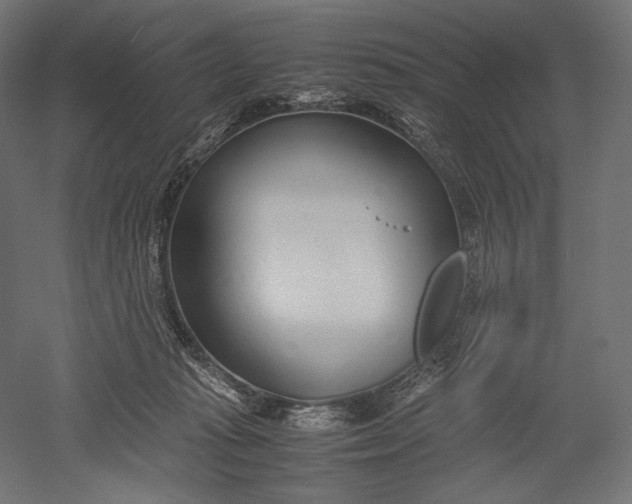 X0000051250269200507011700