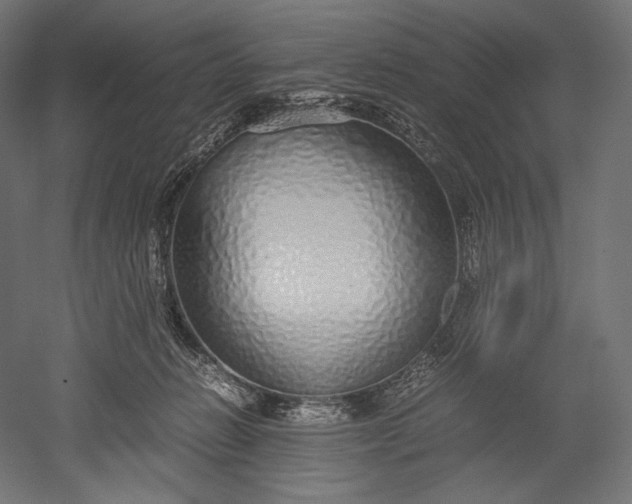 X0000051250270200507011700