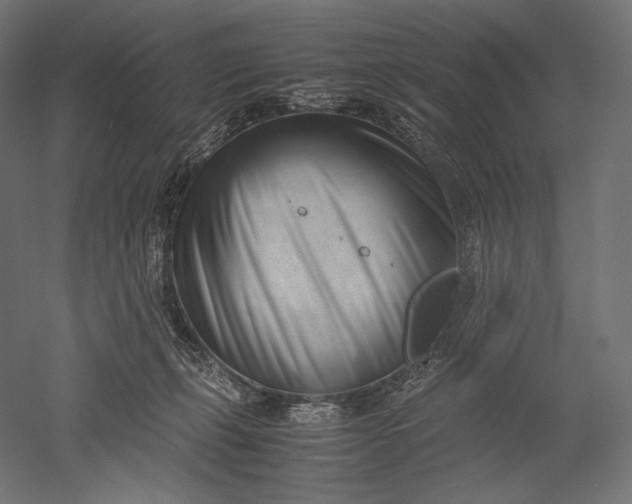 X0000051250271200507011700