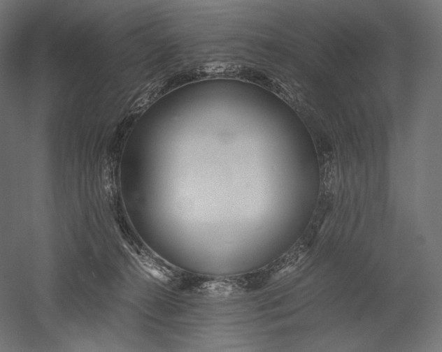 X0000051250272200507011700