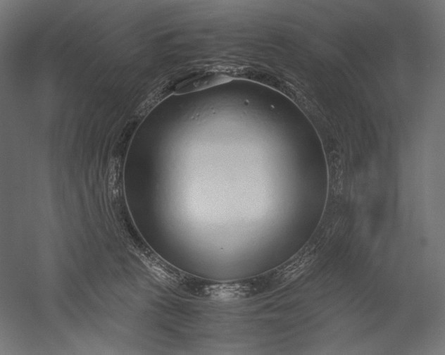 X0000051250273200507011700