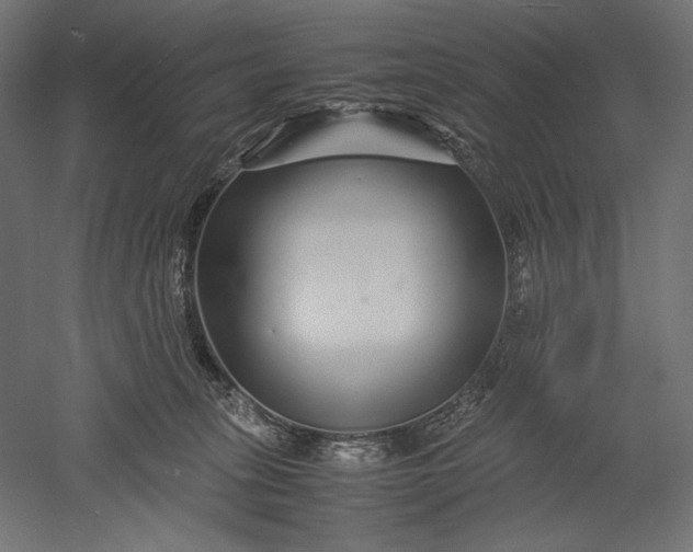 X0000051250275200507011700