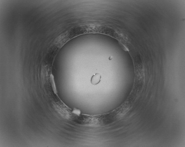 X0000051250276200507011700