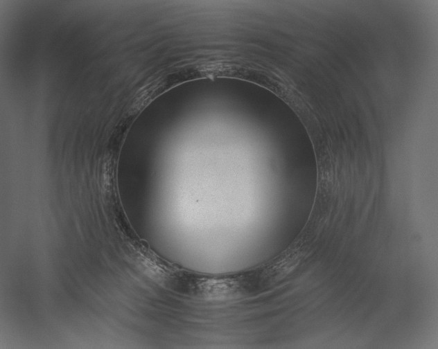 X0000051250277200507011700