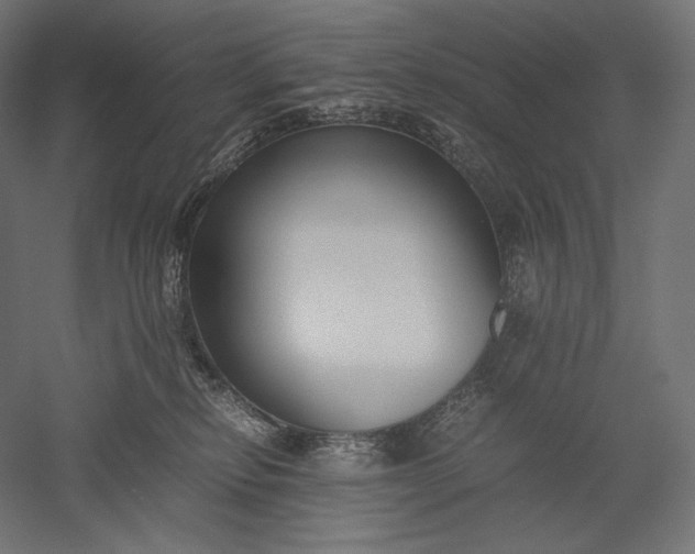 X0000051250278200507011700