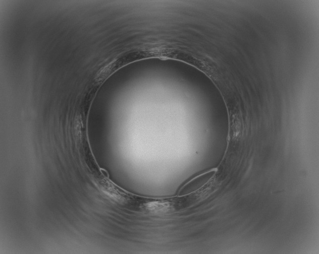 X0000051250279200507011700