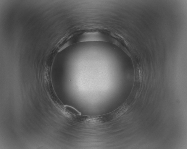 X0000051250280200507011700