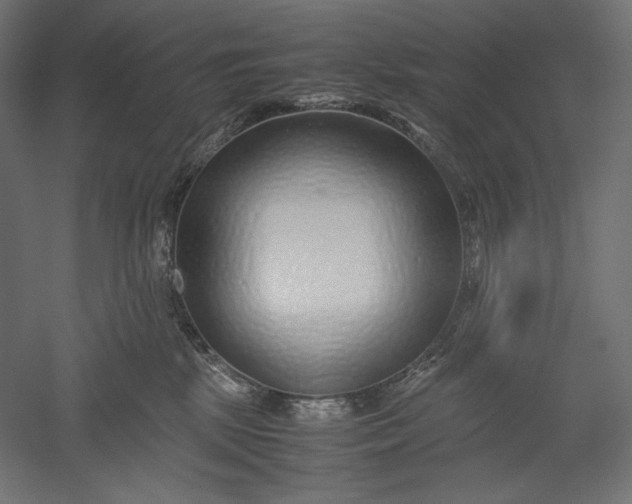 X0000051250281200507011700