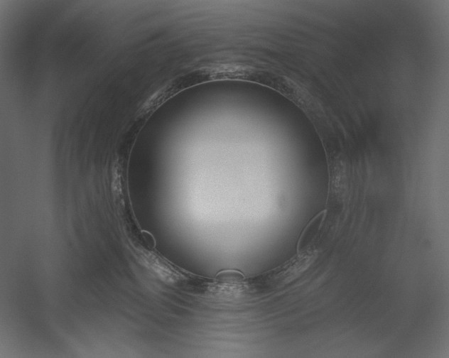 X0000051250282200507011700