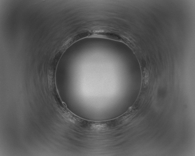 X0000051250283200507011700